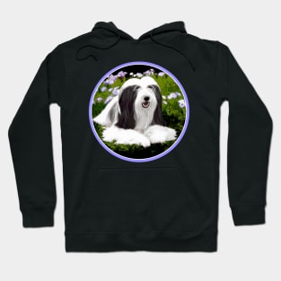 Bearded Collie Hoodie